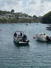 The ferry eventually limped over, on its auxiliary power, the main engine not working